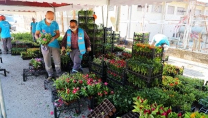 21 mezarlığa 58 bin çiçek