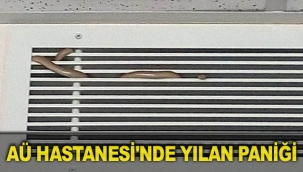 AÜ Hastanesi'nde yılan paniği