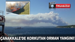Çanakkale'de korkutan orman yangını!