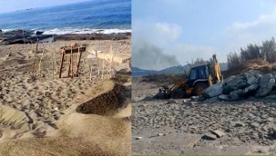 Deniz kaplumbağası yuvaları, iş makinesiyle ezildi