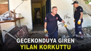 Gecekonduya giren yılan korkuttu