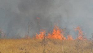 Kaplumbağayı alevlerin arasından kurtarıp, suyla serinlettiler
