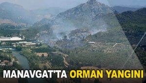 Manavgat'ta orman yangını