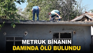 Metruk binanın damında ölü bulundu