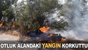 Otluk alandaki yangın
