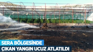 Sera bölgesinde çıkan yangın ucuz atlatıldı