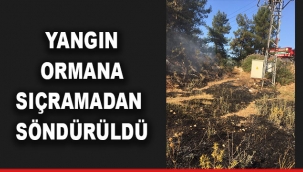 Yangın ormana sıçramadan söndürüldü