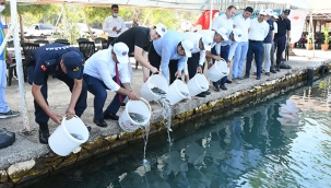 Yavru balıklar Akdeniz'le buluştu