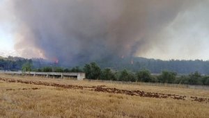 Antalya'da orman yangını