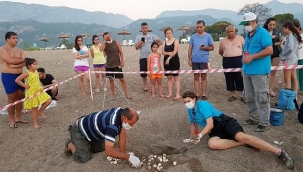 Bayram caretta carettaları