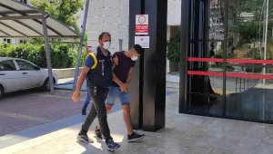 Motosiklet ve papağan hırsızı yakalandı