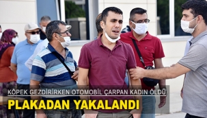 Plakadan yakalandı