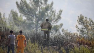 Adrasan'daki yangında 60 hektar ormanlık alan küle döndü