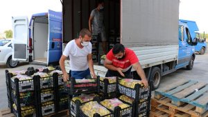 Antalya Büyükşehir 81 ilde 81 okula muz gönderdi