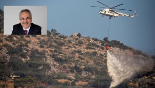 Aydın: Yanan ormanlık alanlar ağaçlandırılıyor