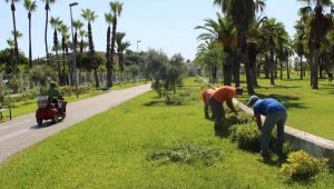 Büyükşehir'den Manavgat'ta yeşil alanlara bakım