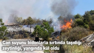 Can suyunu bidonlarla sırtında taşıdığı zeytinliği, yangında kül oldu