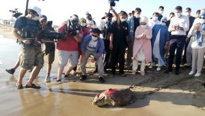 Caretta 'Likya' Libya'ya, 'Patara' Meis'e gitti