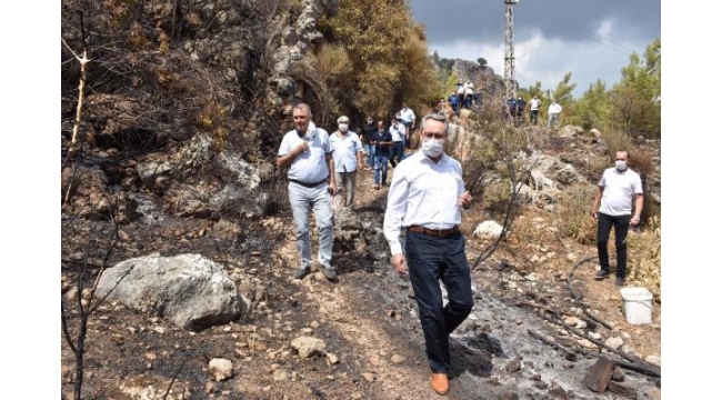 CHP'li Zeybek'ten orman yangınları önergesi