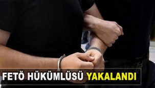 FETÖ hükümlüsü yakalandı
