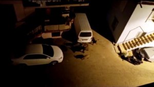Kaş ve Demre merkezinde domuz sürüleri görüldü