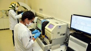 Kepez'den evlenecek 28 bin 293 çifte talasemi testi