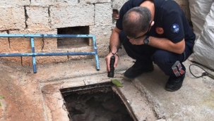 13 metre derinliğindeki kuyudan sesi gelen kedi bulunamadı