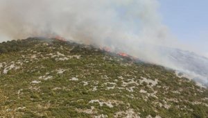 Alanya'da makilik alanda yangın
