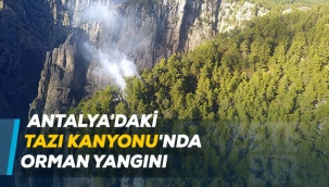 Antalya'daki Tazı Kanyonu'nda orman yangını