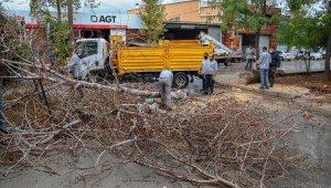 Antalya'da sağanak ve rüzgar etkili oldu; ağaçlar devrildi, yollar göle döndü lar
