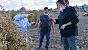 Başkan Boztaş: Manavgat susamı farklı