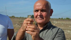 Boğazkent'te halkalandı, Finlandiya'da yakalandı