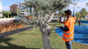 Büyükşehir'den Konyaaltı Sahili'nde kış hazırlığı
