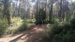 Çamlıkta atla gezen çiftlik çalışanı ve turist, cesetle karşılaştı