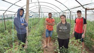 Durağın altında can veren Gülseren, tüp bebek tedavisi için doktora gidiyormuş