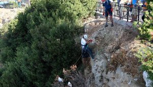 Falezlerde çevre temizliği