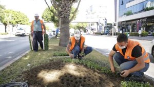 Kışlık çiçekler toprakla buluştu