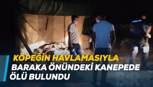 Köpeğin havlamasıyla baraka önündeki kanepede ölü bulundu