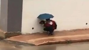Şemsiyesiyle sokak köpeğini yağmurdan korudu