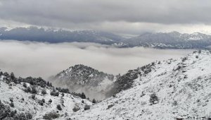 'Kar değil bereket yağdı'