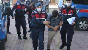 Alanya'da avokado hırsızlığına 3 gözaltı