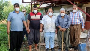 Alanyalı avokado üreticisi, hırsıza karşı sopalı nöbette