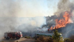 Antalya'da makilik yangını; 5 dekar alan kül oldu