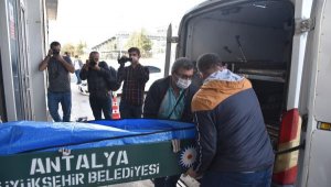 Apartman bahçesine dikilen ağaç yüzünden çıkan tartışmada öldürüldü lar