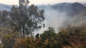 Gazipaşa'da bahçe yangını