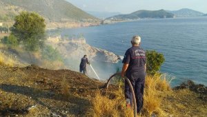 Gazipaşa'da çalılık yangını