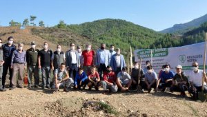 Gazipaşa'da fidanlar toprakla buluştu