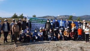Kaş'ta fidanlar toprakla buluştu