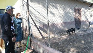 Kemer Belediyesi'nden kardeş barınak projesi