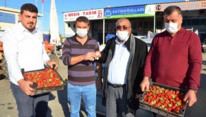 Kilosu 20 liraya satılan sezonun ilk çileğine çeyrek altın ödülü